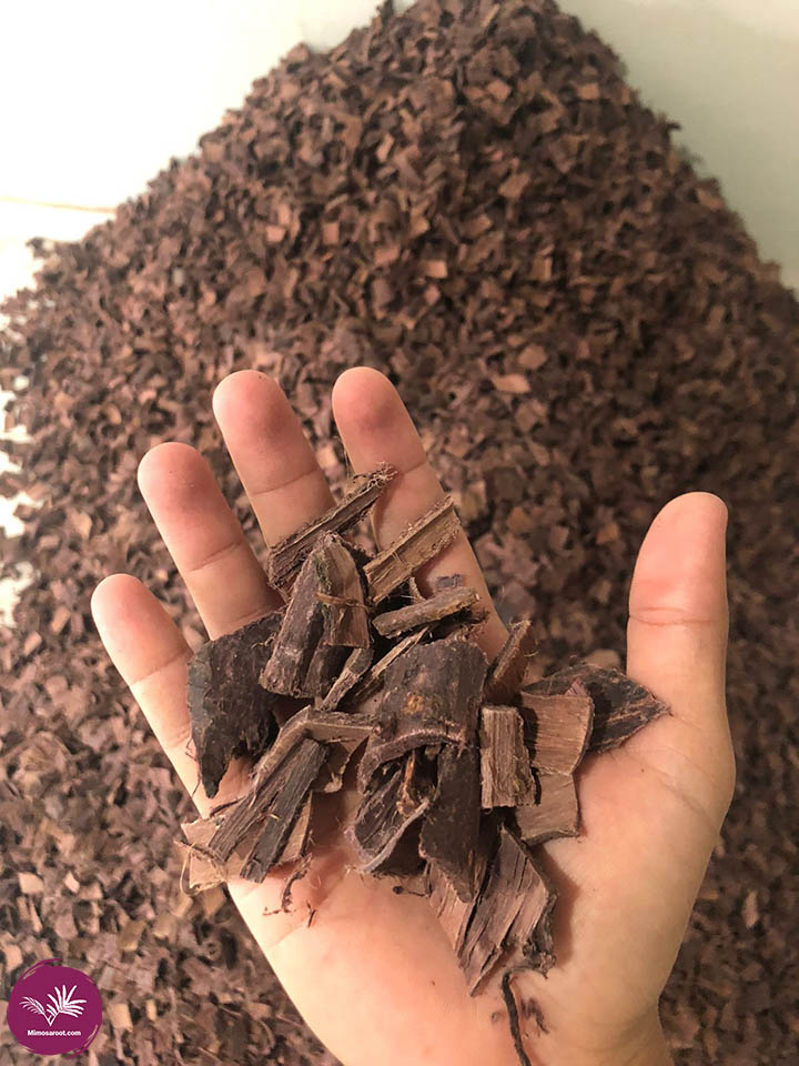 Mimosa hostilis inner root bark whole pieces