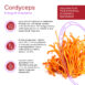 AnnaUr_THE FEEL 1_eng