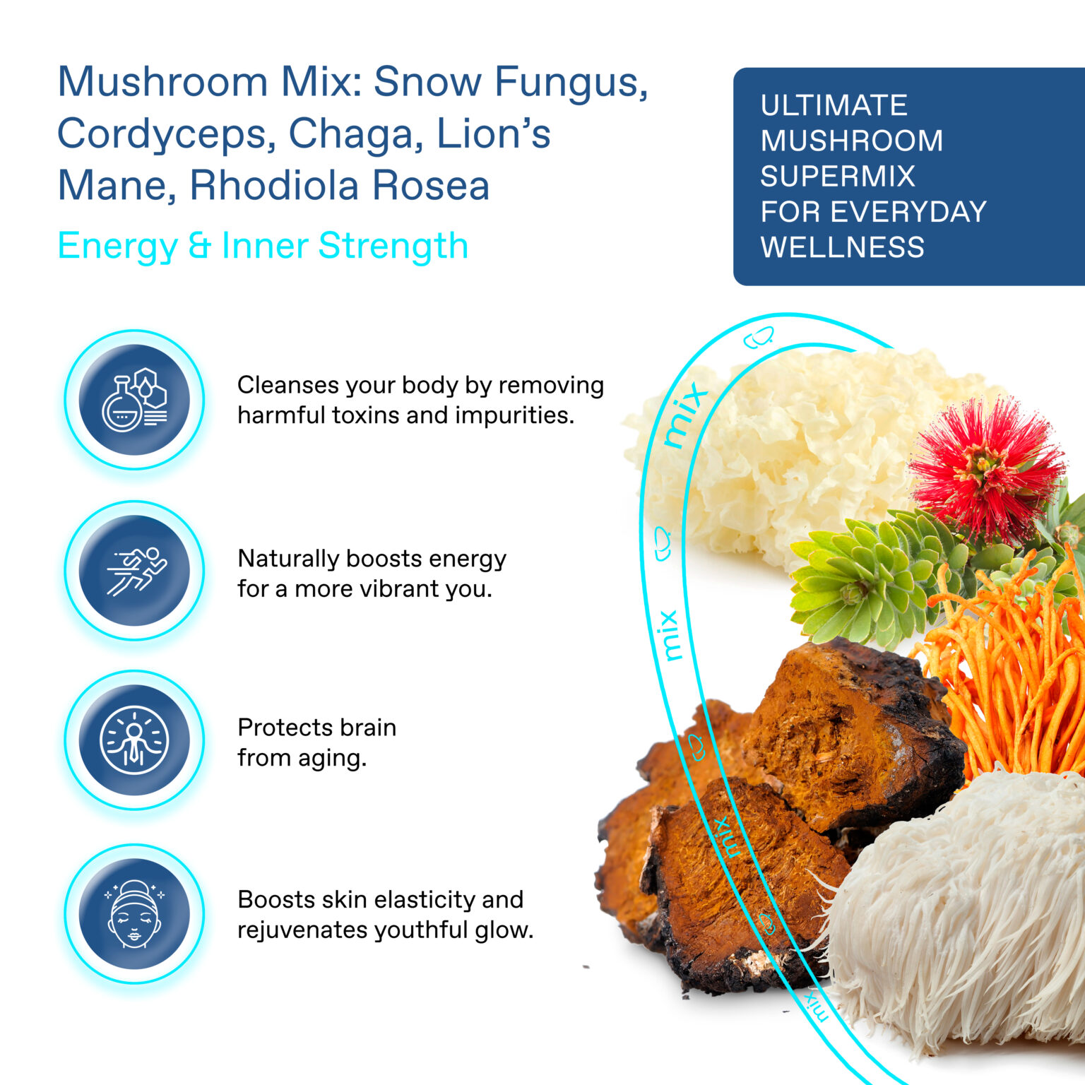 Mushroom coffee Archives