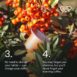 AnnaUr_THE RISE 4_eng.jpg_compressed
